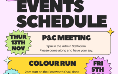 P&C Recap & Upcoming Events